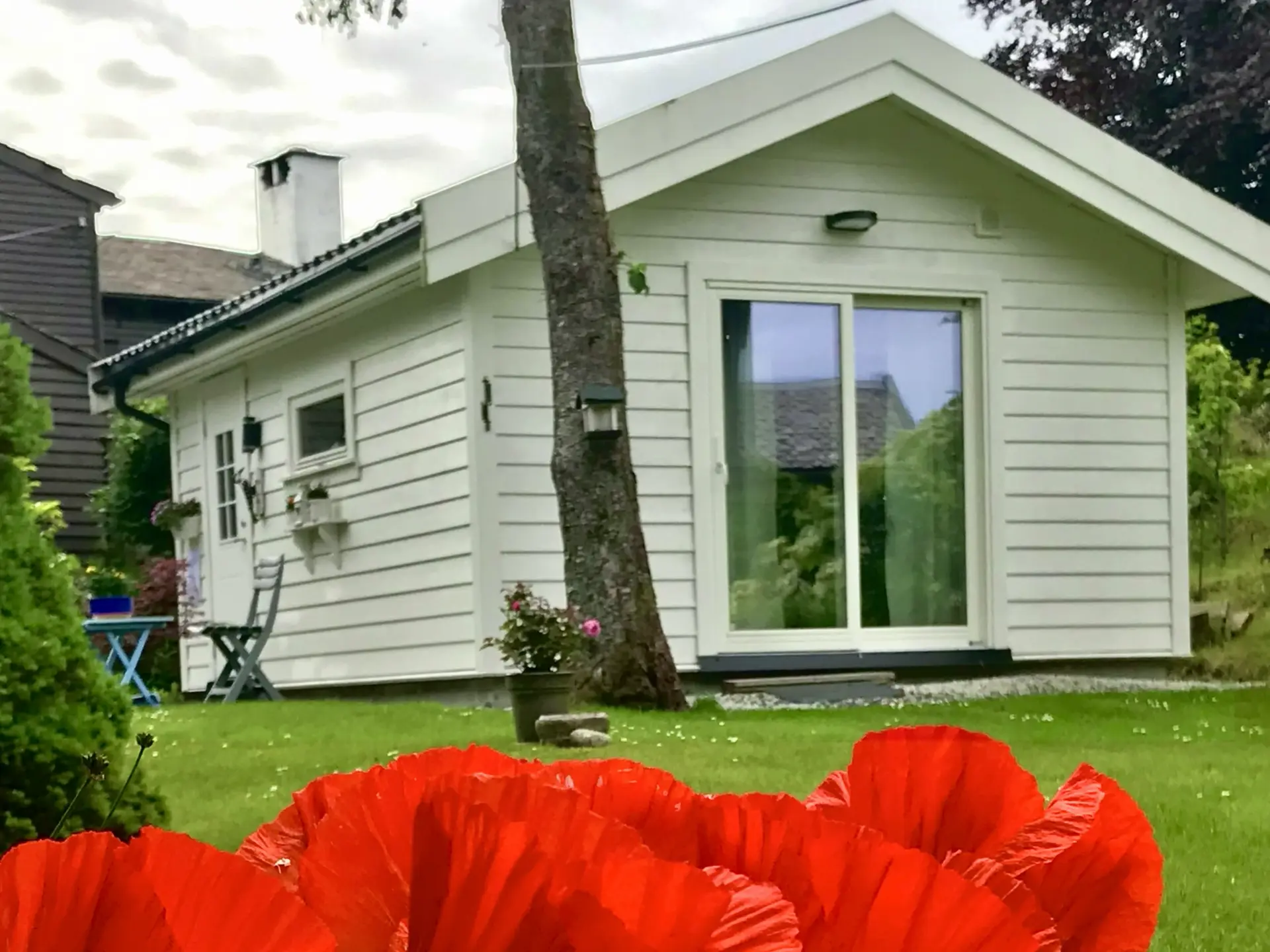 Atelieret i hagen – hvitt trehus med valmuer i forgrunnen
